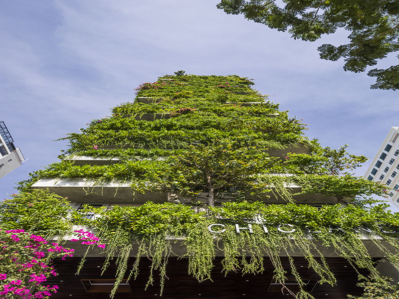 Chicland Danang Beach Hotel