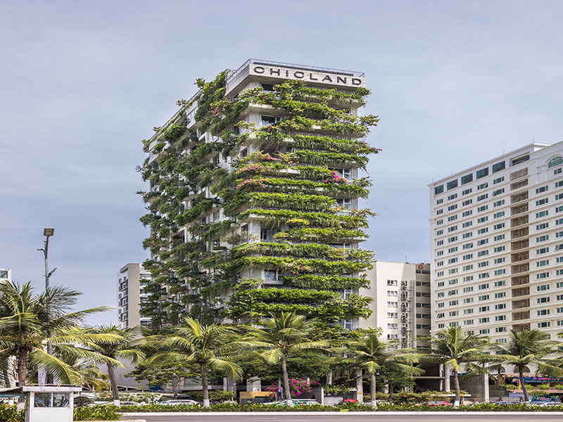 Chicland Danang Beach Hotel