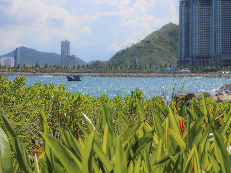 Alibu Resort Nha Trang