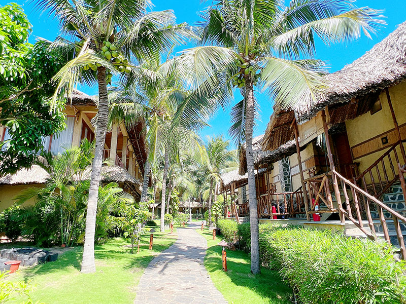Phòng Deluxe 1 người