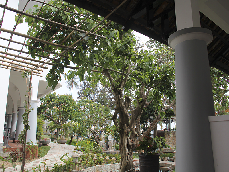 Dynasty Beach Mui Ne Resort – Hoang Trieu