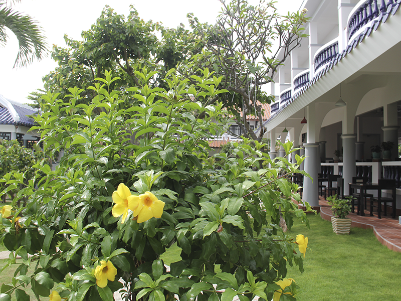 Dynasty Beach Mui Ne Resort – Hoang Trieu