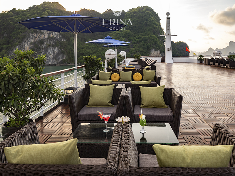 Erina Cruise