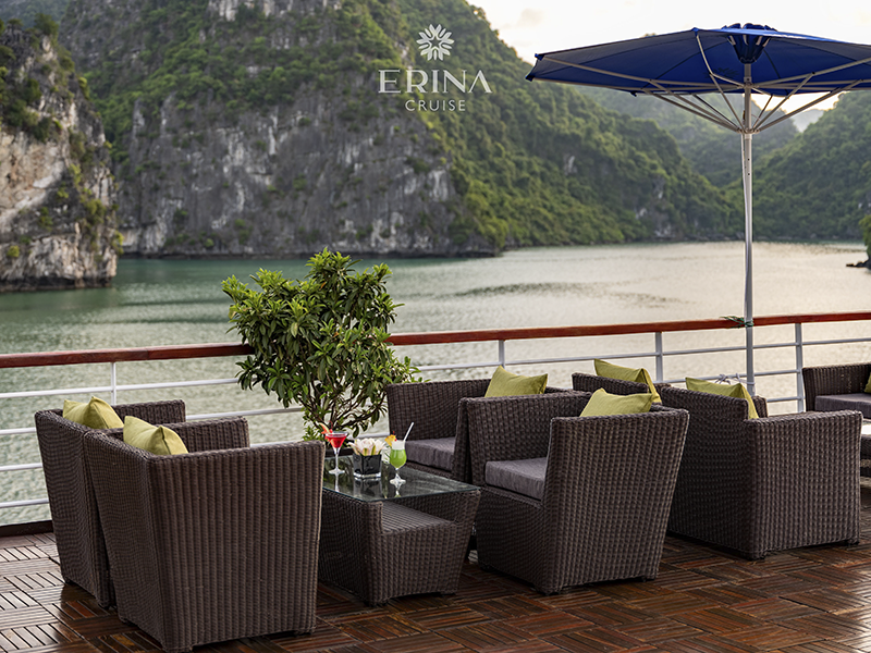 Erina Cruise
