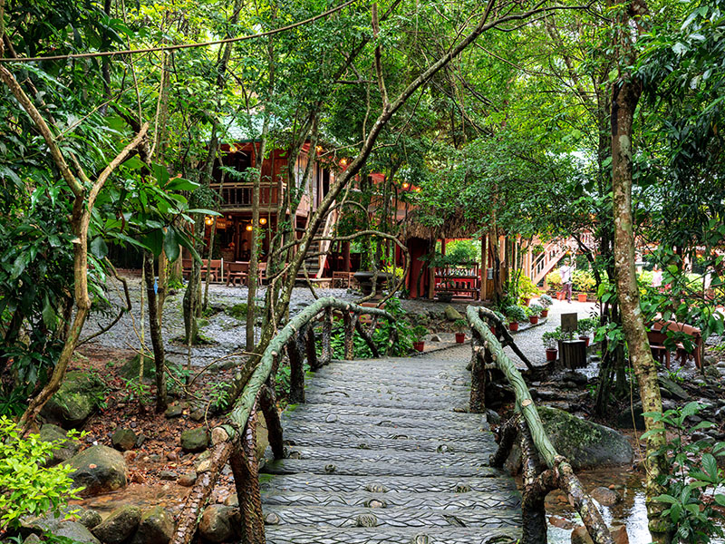 Làng Nương Yên Tử (Yen Tu Village)