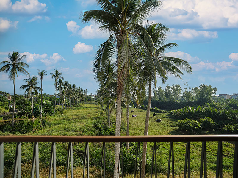 Little Oasis Hội An