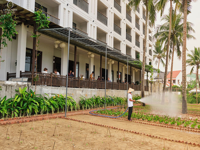 Little Oasis Hội An
