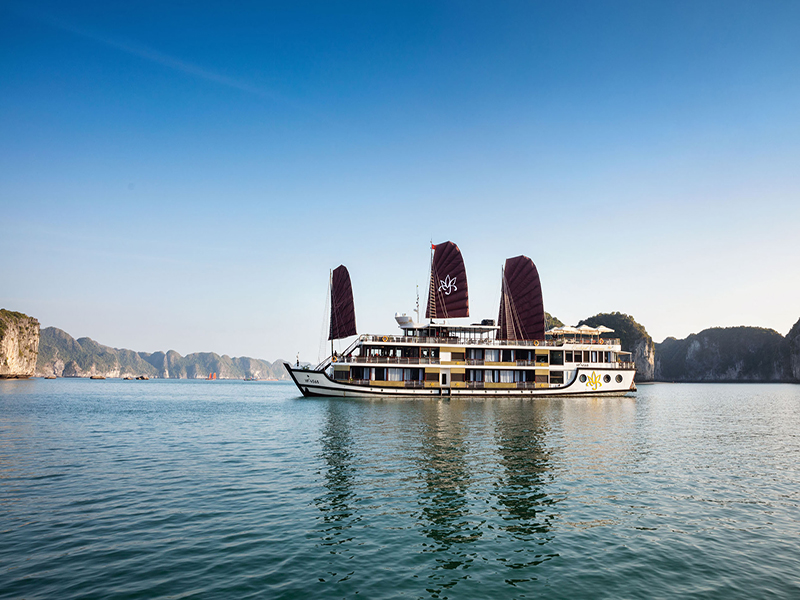 Orchid Classic Cruise