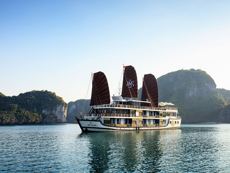 Orchid Classic Cruise