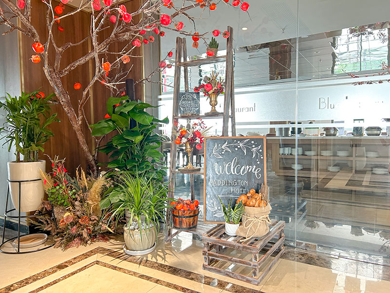 PADDINGTON HOTEL HẠ LONG
