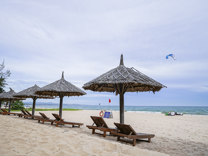 Sea Lion Beach Resort & Spa
