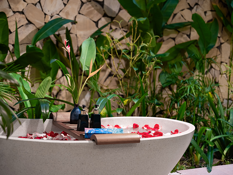 Sen Retreat Hoi An