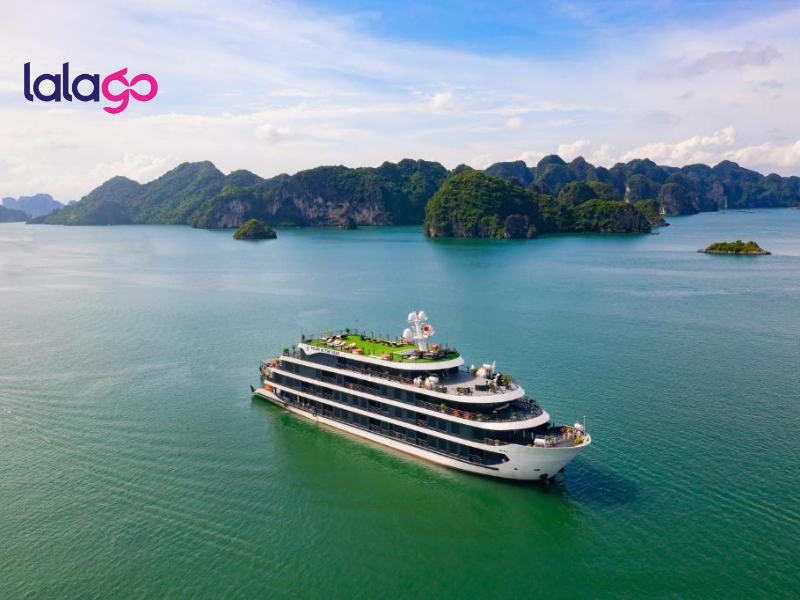 Khách sạn Flamingo Đại Hải