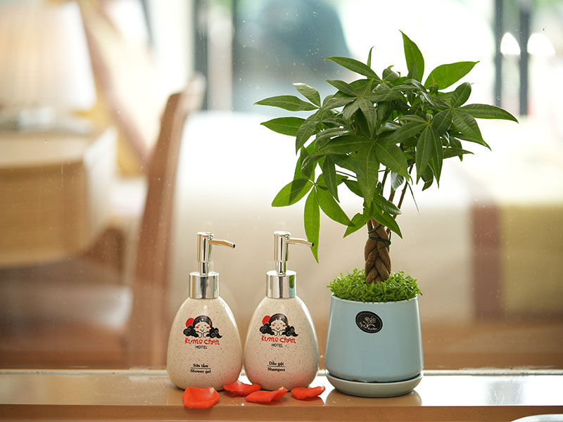 Kumo Chan hotel Mộc Châu