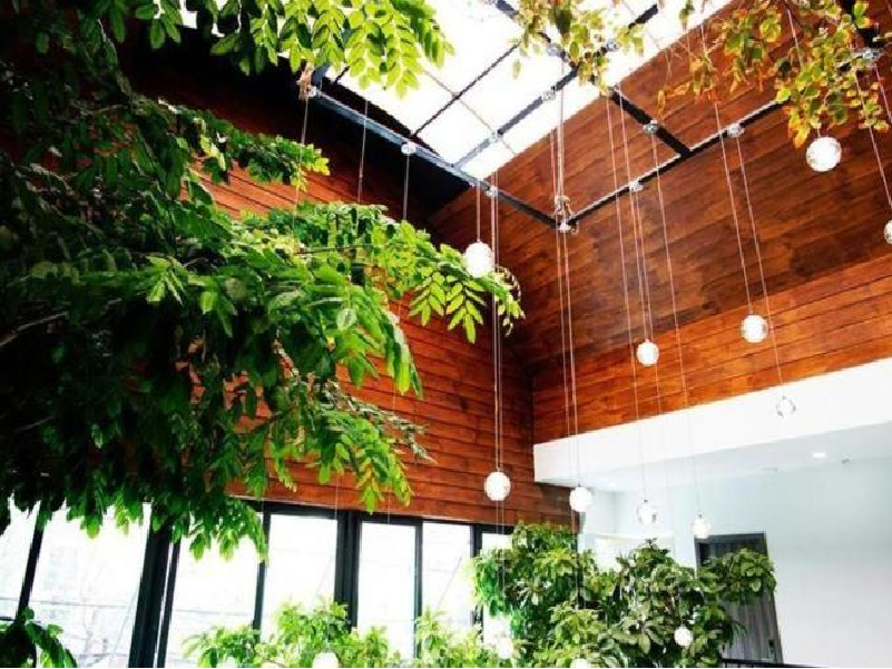 Green Oasis Hotel – Tuy Hòa Phú Yên