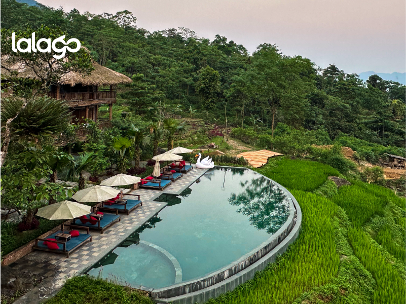 Khách sạn Flamingo Đại Hải