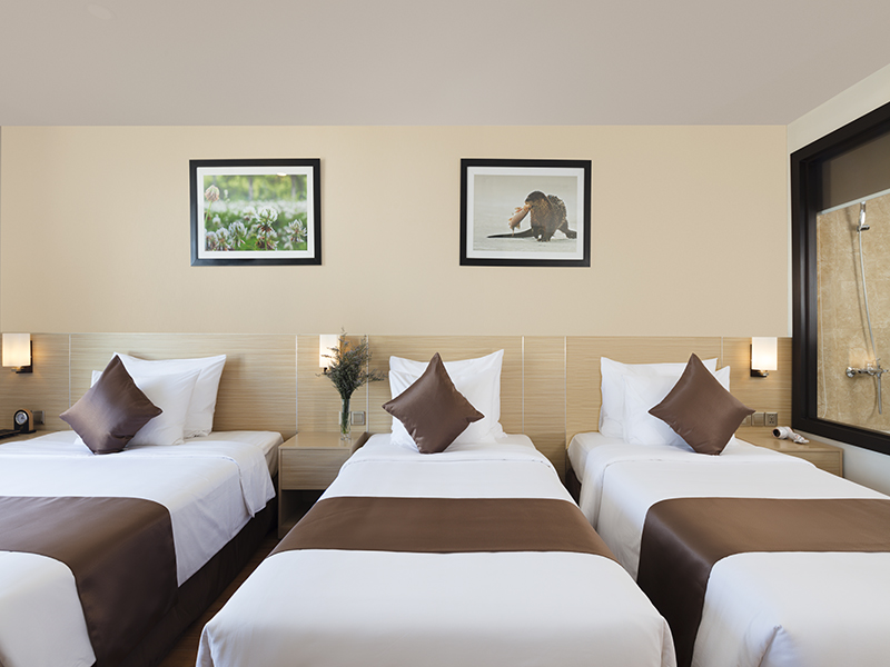 Phòng Deluxe 1 người