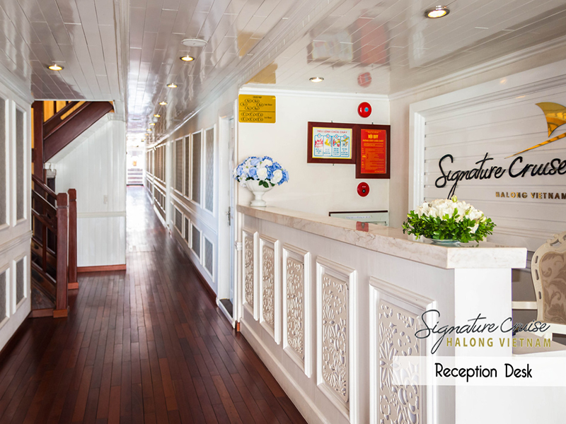 Athena Signature Cruise
