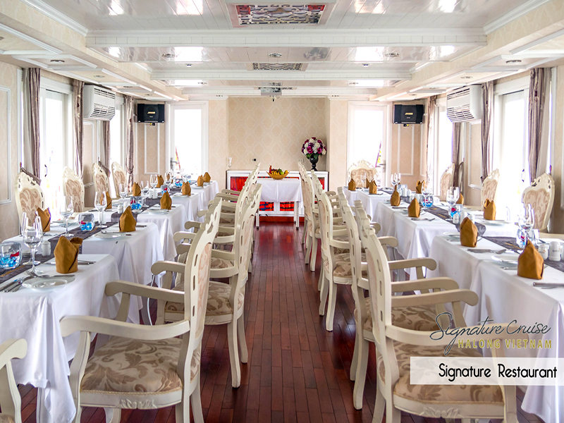 Athena Signature Cruise