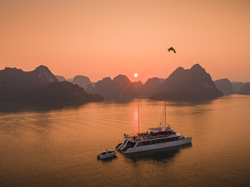 Catamaran Cruise