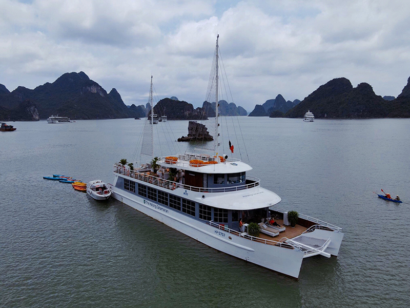 Catamaran Cruise