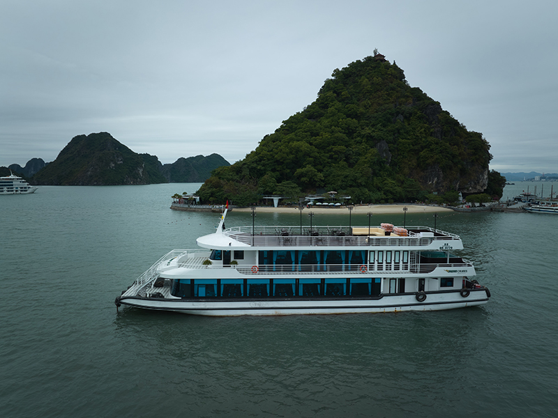 Du thuyền Vdream