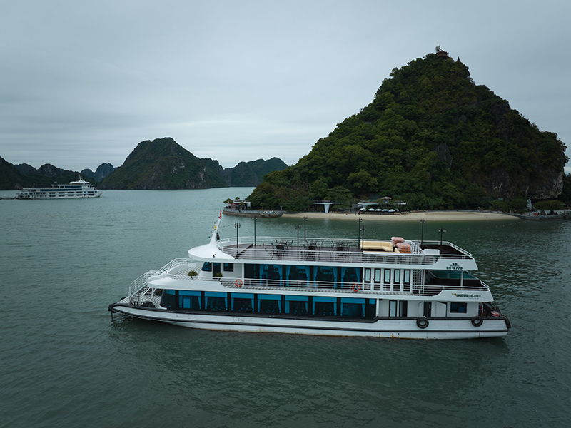 Du thuyền Vdream