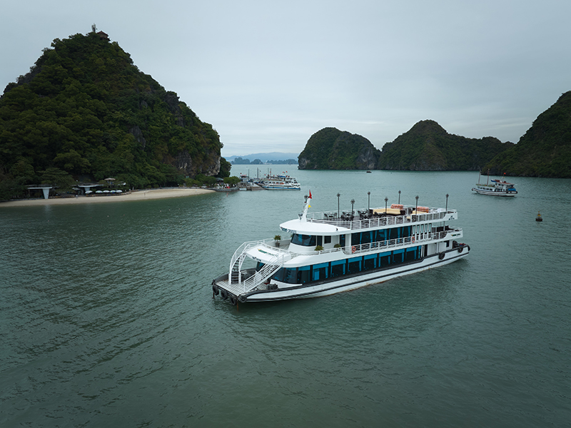 Du thuyền Vdream
