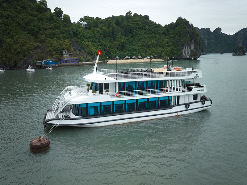 Du thuyền Vdream