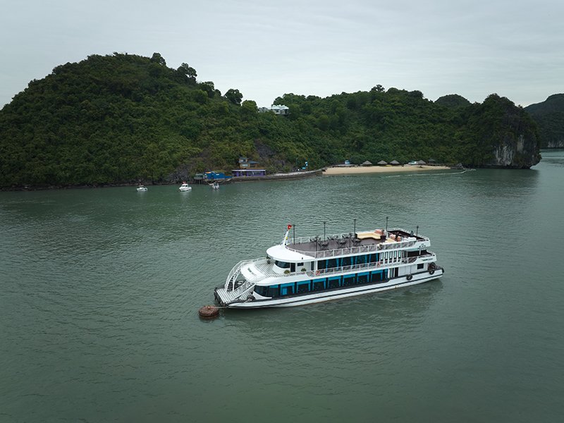 Du thuyền Vdream