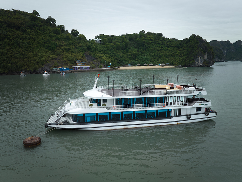 Du thuyền Vdream