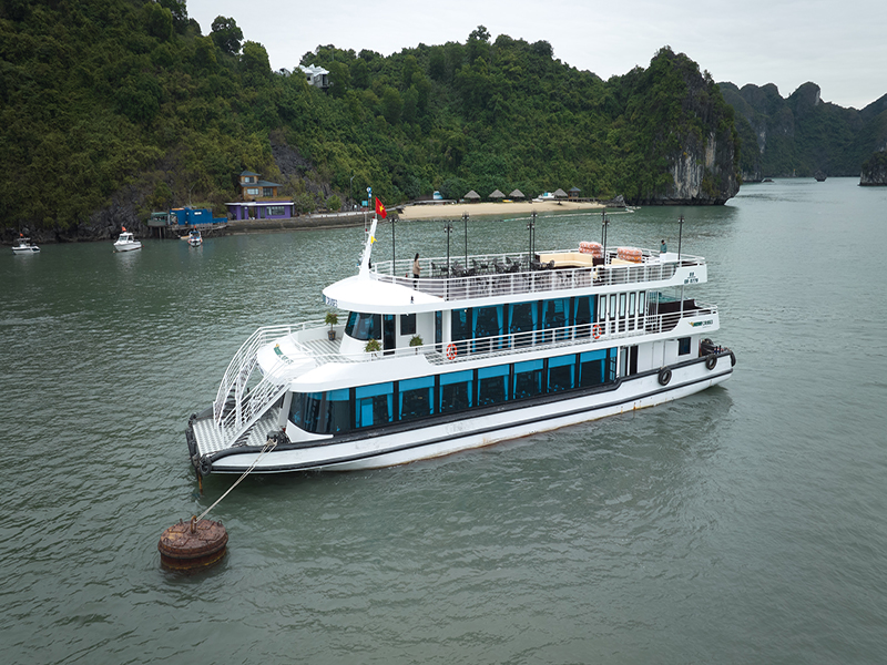 Du thuyền Vdream