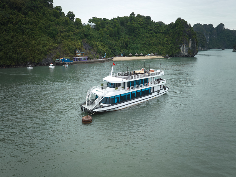 Du thuyền Vdream
