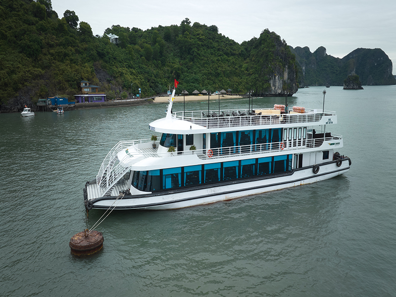 Du thuyền Vdream