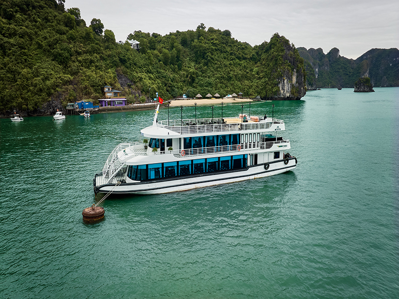 Du thuyền Vdream