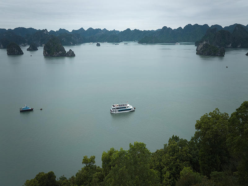 Du thuyền Vdream
