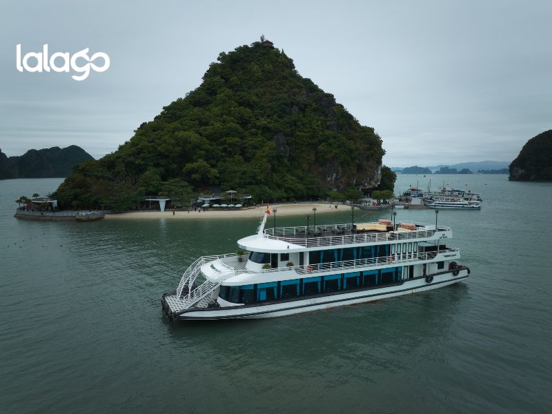 Khách sạn Flamingo Đại Hải