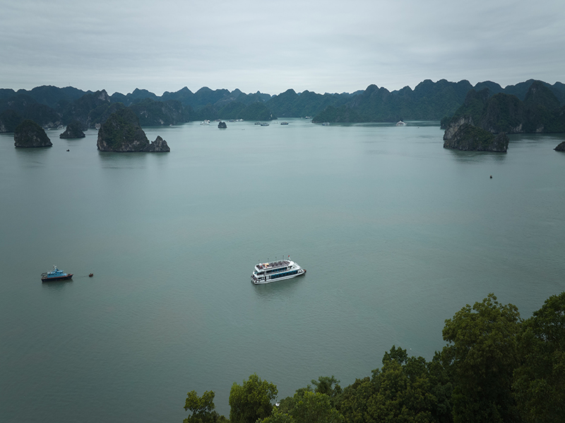 Du thuyền Vdream