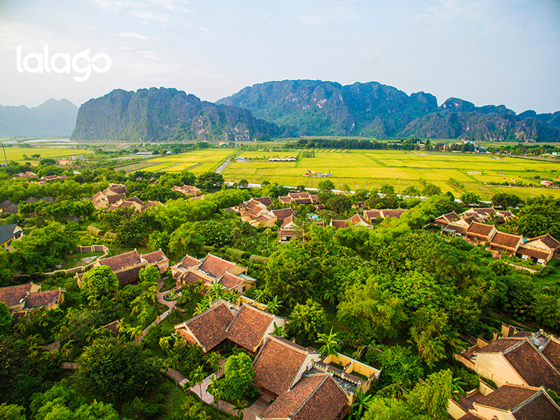 Khách sạn Flamingo Đại Hải