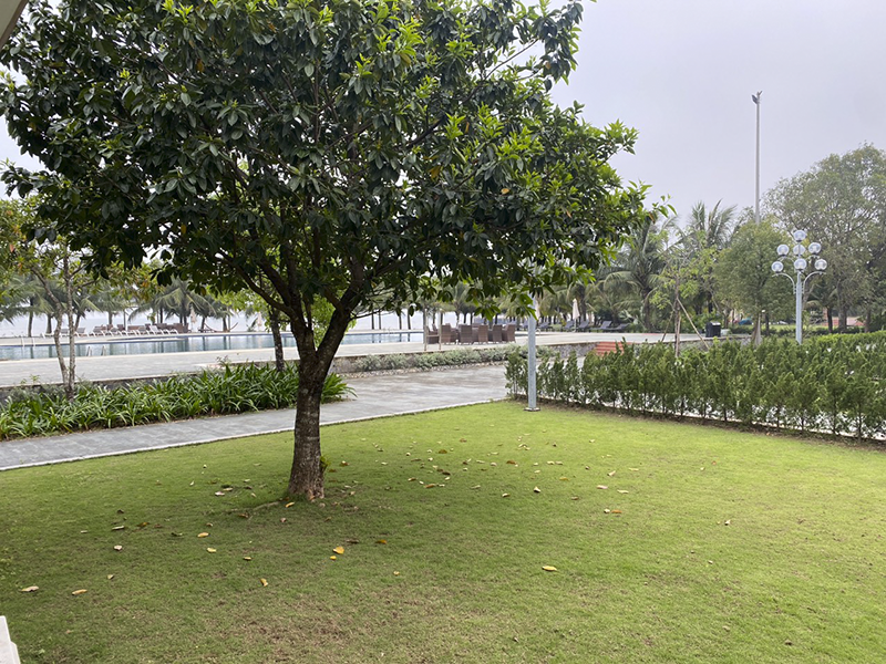 Phòng Deluxe 2 người