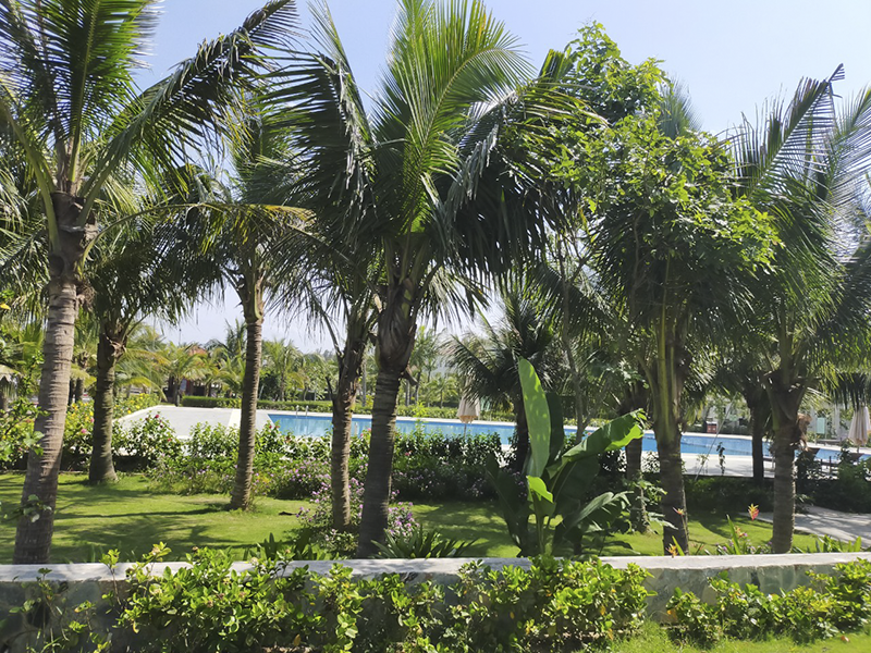 Khách sạn Flamingo Đại Hải