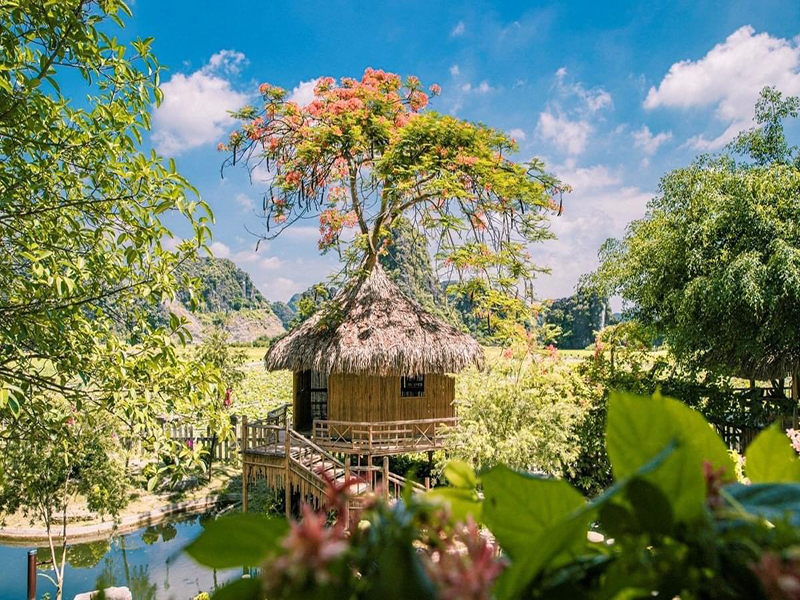 Hang Múa Ecolodge