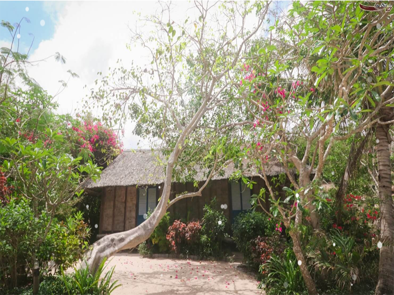 Hòn Ông Resort