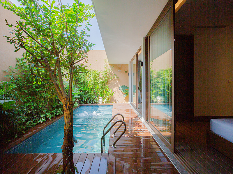 Phòng Deluxe 1 người