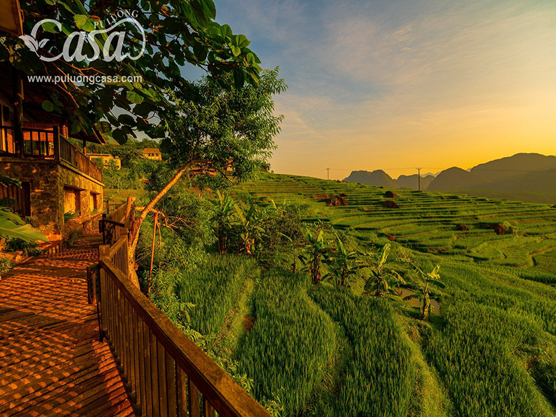 Puluong Casa Resort