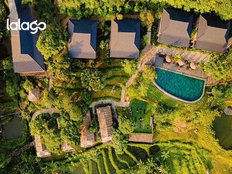 Khách sạn Flamingo Đại Hải