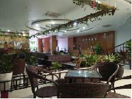 Quang Tung Hotel