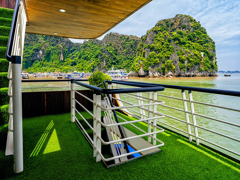 Queen cruises