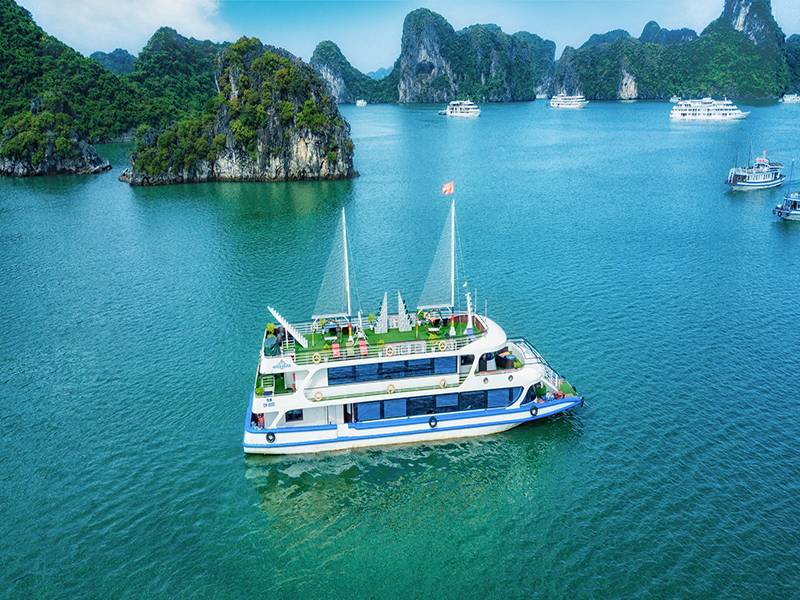 Queen cruises