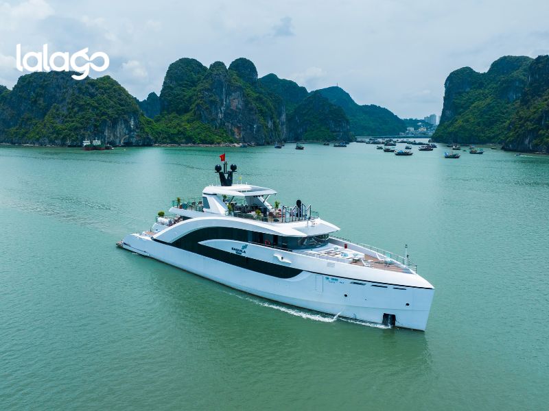 Khách sạn Flamingo Đại Hải